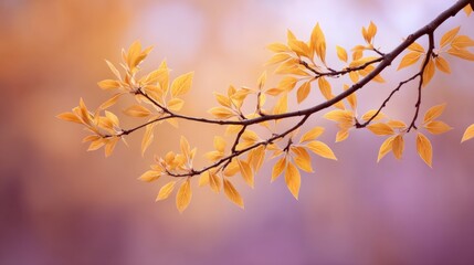 Stunning Close-Up of Autumn Leaves on a Branch with a Beautifully Blurred Orange and Purple Background in a Serene Nature Setting