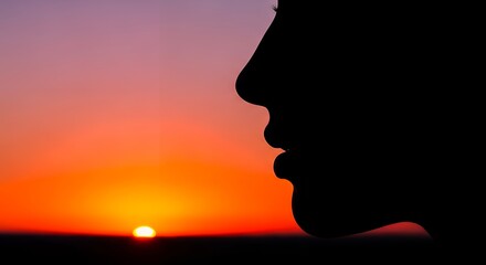 Silhouette of Woman Profile Watching Sunset with Vibrant Colors and Calm Mood
