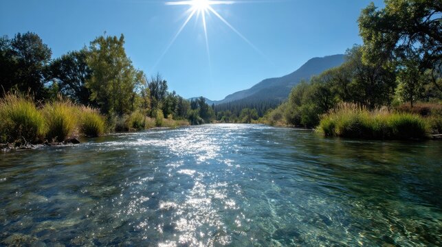 Scenic river landscape with sparkling water under bright sun and clear blue sky surrounded by lush greenery and distant mountain view