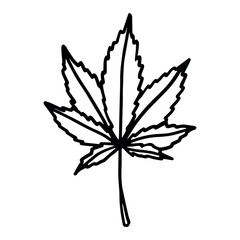 Hand drawn cannabis leaf Medicine marijuana Hemp leaves clipart in doodle style Single element for print, web, design, decor