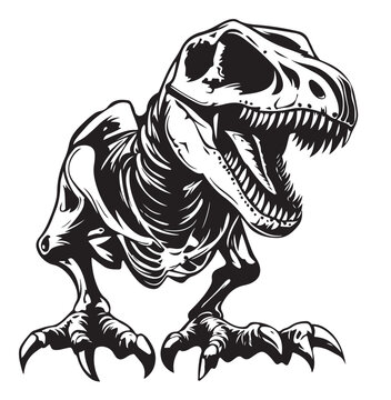black and white, t rex skeleton