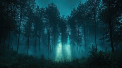 Fototapeta premium Dark, mysterious forest at night with fog and beams of light.