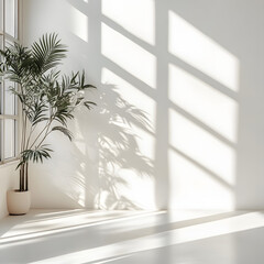 Cinematic Shadow On White Wall Interior Background Design