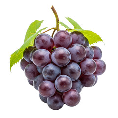 Fototapeta premium Organic Grapes Cluster Isolated on Transparent Background for Layouts 