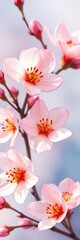 Delicate watercolor blossoms add a soft, artistic touch,  pink,  nature