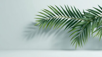 Fototapeta premium Palm Leaf Mockup - Tropical, Green, Minimalist Design