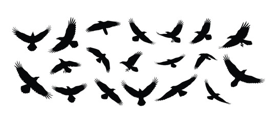 Silhouette of Birds Flying in Formation A Symbol of Freedom and Movement
