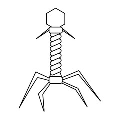bacteriophage virus. Three dimensional render of bacteriophage viruses
