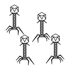 bacteriophage virus. Three dimensional render of bacteriophage viruses

