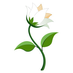 gooseneck white flower vector isolated