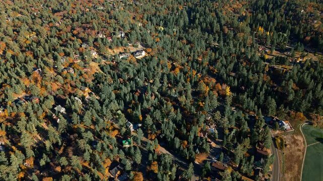 Aerial View of Mountain Residential Area in Big Bear Lake