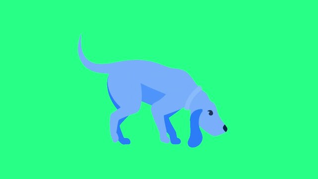 A blue dog-like figure with a curved tail on a vivid lime-green background, simple vector art style, video loops, green screen, 4k, footage, 4k footage, videos, video clip, slow motion