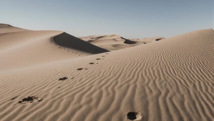 Footprints traverse rippled sand dunes under a clear sky, a testament to journeys