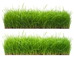 Vibrant green grass sod, lush and neatly trimmed