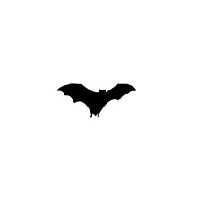 Black silhouette of a bat flying against a white background.