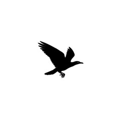 Silhouette of a bird in flight.