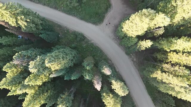 Drone flight at sunset over an alpine lake near Kebler Pass, in Crested Butte, Colorado