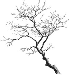 Obraz premium Bare tree sketch hand drawn with twisted branches on white background — stock vector