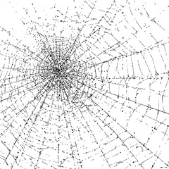 Obraz premium Spider web sketch, hand drawn detailed radial lines, isolated on white background — stock vector