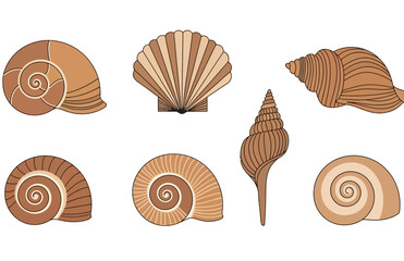 vector collection of sea snails flat design