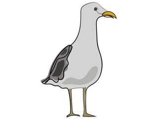 Seagull in continuous line drawing style