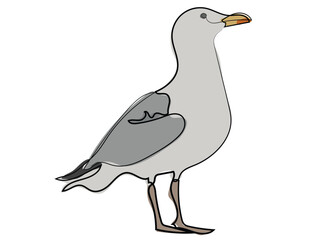 Seagull in continuous line drawing style