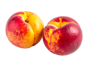 Two ripe nectarines with vibrant red and yellow hues