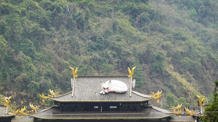 A large closeup white fox sculpture on the roof of a building that is part of the stage theater for the "Tianmen Fox Fairy Show" in Zhangjiajie, China