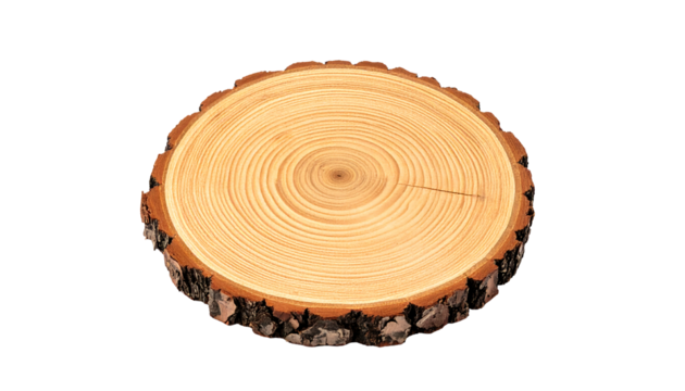 A circular, light brown wood slice with bark edges and visible growth rings, on a white background png cutout