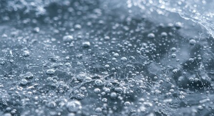 Tiny spheres of gas are trapped within a sheet of frozen water showing intricate detail