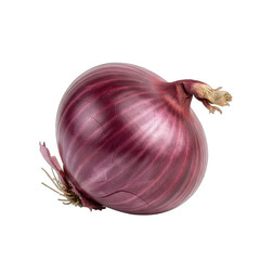 Single Red Onion with Visible Layers and Dry Roots Isolated on a Transparent Background with Subtle Reflections Studio Lighting