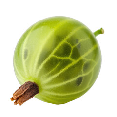Single Ripe Green Gooseberry with Visible Seeds and Stem Isolated on Transparent Background with Soft Highlights Detailed Macro View