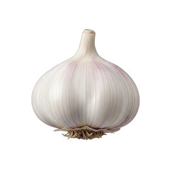 Single Whole White Garlic Bulb With Root And Stem Isolated On Transparent Background Detailed Macro Studio Shot