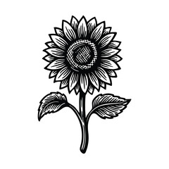 illustration of a blooming sunflower flower.