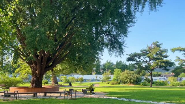 bench in the park