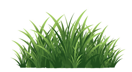 Obraz premium Isolated vector illustration of a vibrant green grass tuft, perfect for adding a natural touch to designs and providing a fresh, organic element.