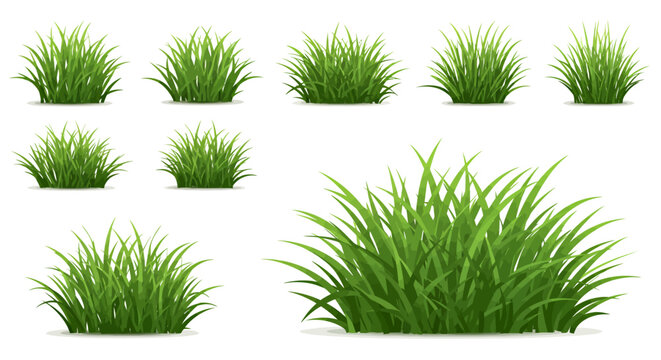 A collection of realistic grass tufts in various shapes and sizes, presented as a vector graphic with a transparent background, perfect for landscape design.