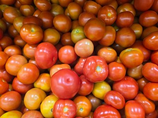 A large pile of fresh tomatoes, varying in ripeness from orange to red.