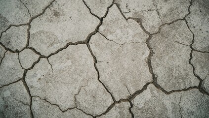 Fototapeta premium Parched Earth Texture Featuring Cracked Ground Landscape