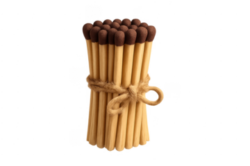 Bundle of matches tied with rope symbolizing unity