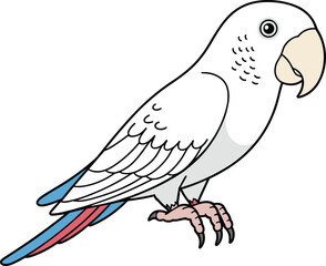 White parrot bird with pink claws and colored tail feathers in clean flat vector style, exotic tropical bird illustration for wildlife decor and children design