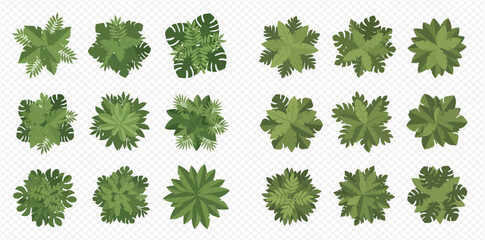Collection of green tree tops seen from above, perfect for architectural plans and garden layouts.