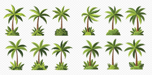 Set of various tropical palm tree illustrations with lush green foliage and surrounding plants on a transparent background.