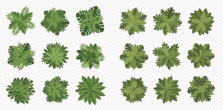 Collection of green tree tops seen from above, perfect for architectural plans and garden layouts.