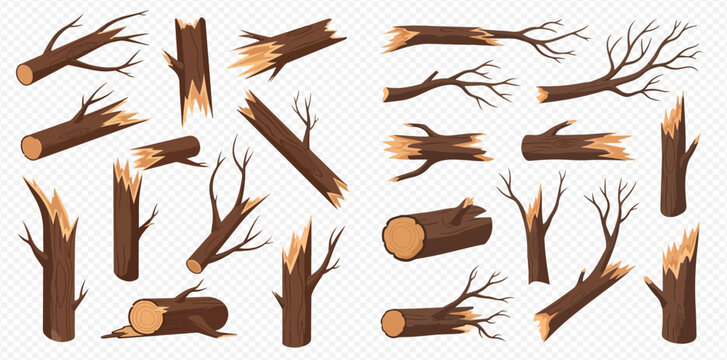 Collection of various broken tree branches and logs with splintered wood textures, isolated on a transparent background.
