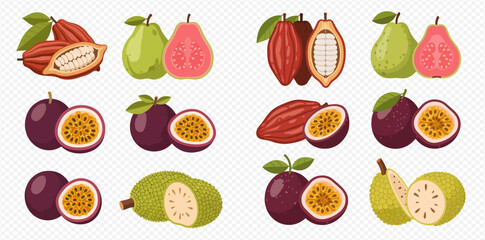 A vibrant collection of various tropical fruits including whole and cut cacao pods, guavas, passion fruits, and jackfruit, showcasing their colorful interiors.