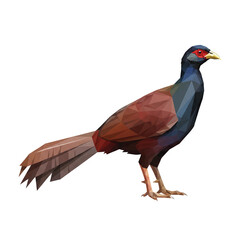 Fototapeta premium Low poly pheasant bird standing side view