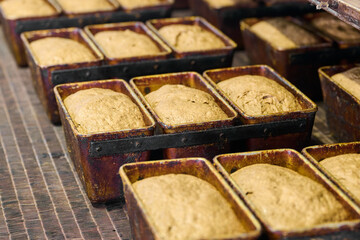 Fermented dough in loaf pans ready for baking at a busy bakery plant preparing for production