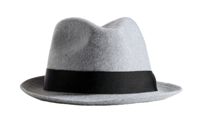 Gray fedora hat with black band