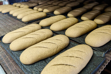 Freshly formed dough ready for slicing in a bakery processing facility